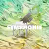 Riskô - Symphonie - Single